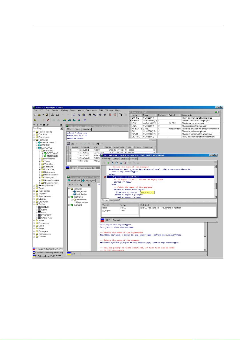 plsqldev_