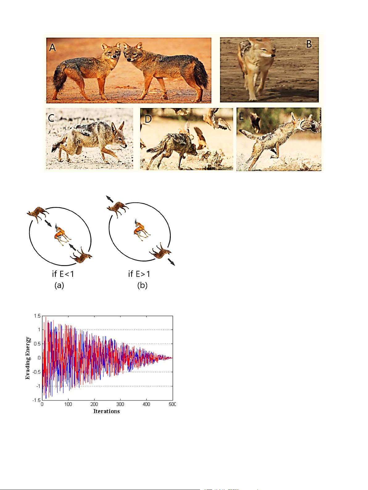 【免费】分享了金豺优化算法Goldenjackaloptimizationalgorithm源代码及原文,亲测有效,更多算法可进入 ...